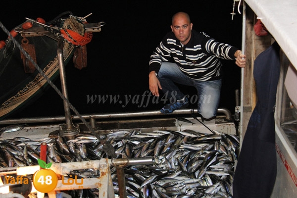 fishes in jaffa 0107 (7).JPG